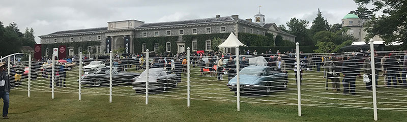 Goodwood 8 Goodwood